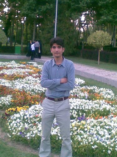 hasan&nbsp;mortazavi